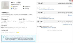 Screenshot of a visitor profile from my visitor analytics software showing three visits from the same computer in the Vatican City.